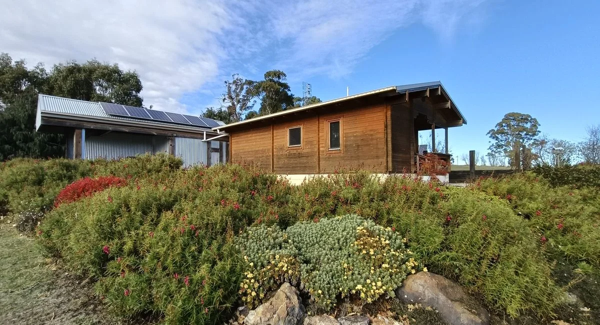 Eco-friendly wooden cabin surrounded by lush greenery and solar panels under a clear sky.