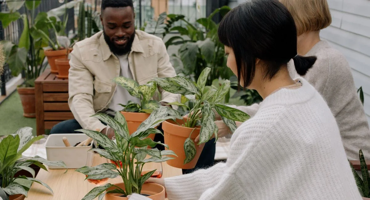 Le jardin partagé, un espace collectif pour cultiver, échanger et unir un quartier
