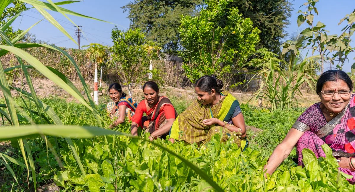 South Asian women farming in a lush green field in Nagpur, India, embracing agricultural traditions.